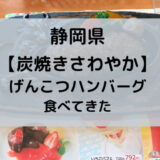 静岡県【炭焼きさわやかげんこつハンバーグ】を食べてきた